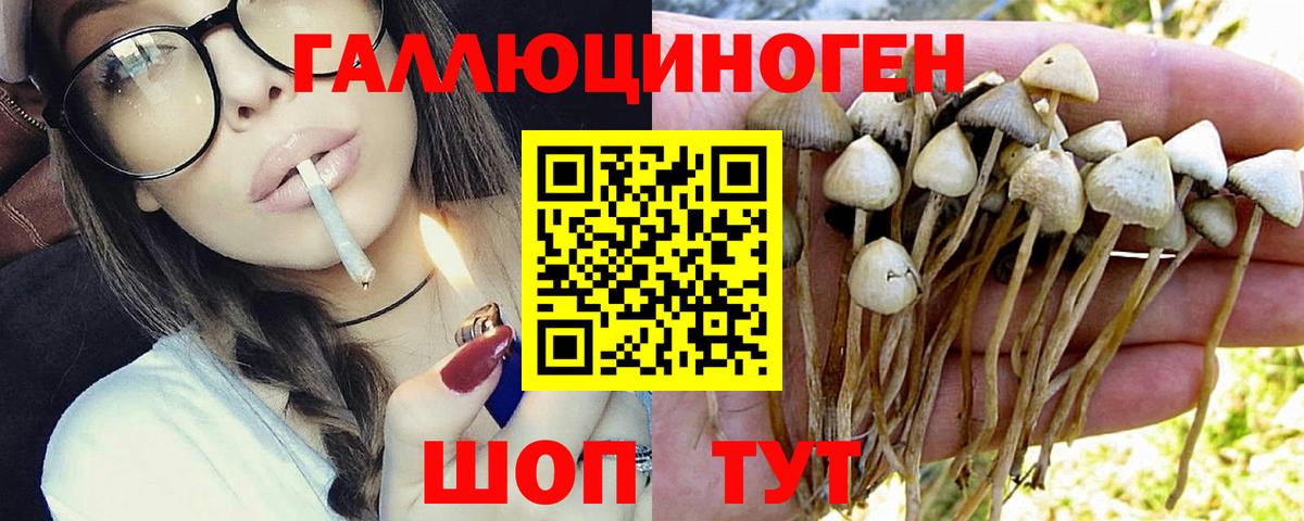 Псилоцибиновые грибы мухоморы Алексин