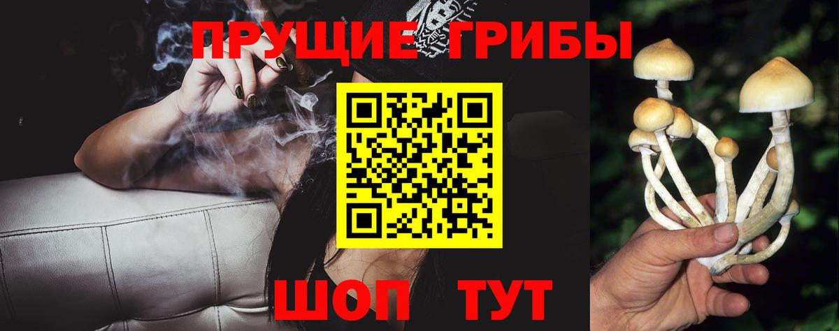 Галлюциногенные грибы GOLDEN TEACHER  Псилоцибиновые грибы мицелий  Вход с VPN  цена наркотик  Алексин 